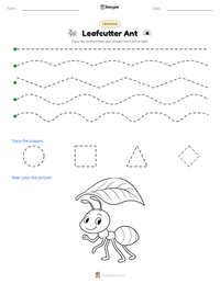 Leafcutter Ant printable worksheet preview