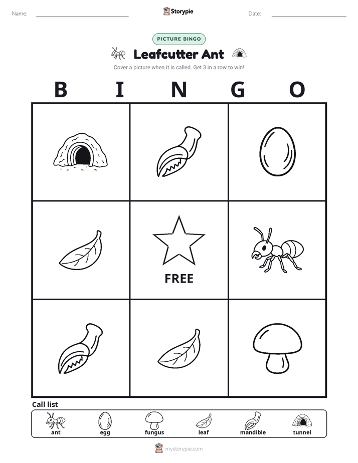 Picture Bingo