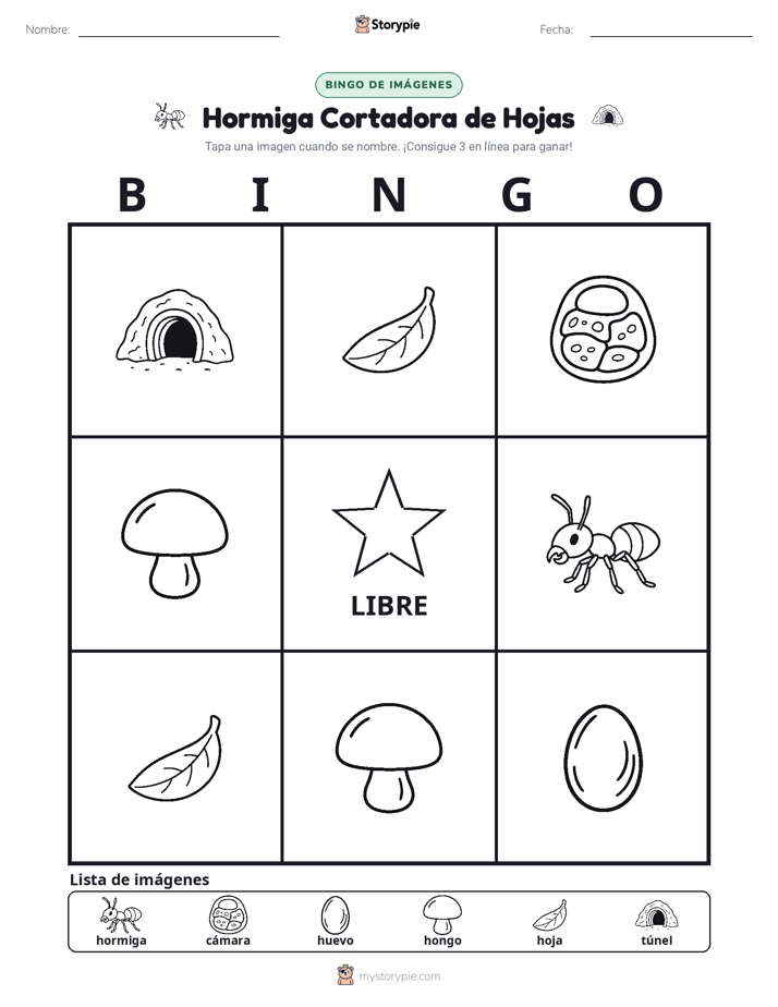 Bingo de Imágenes