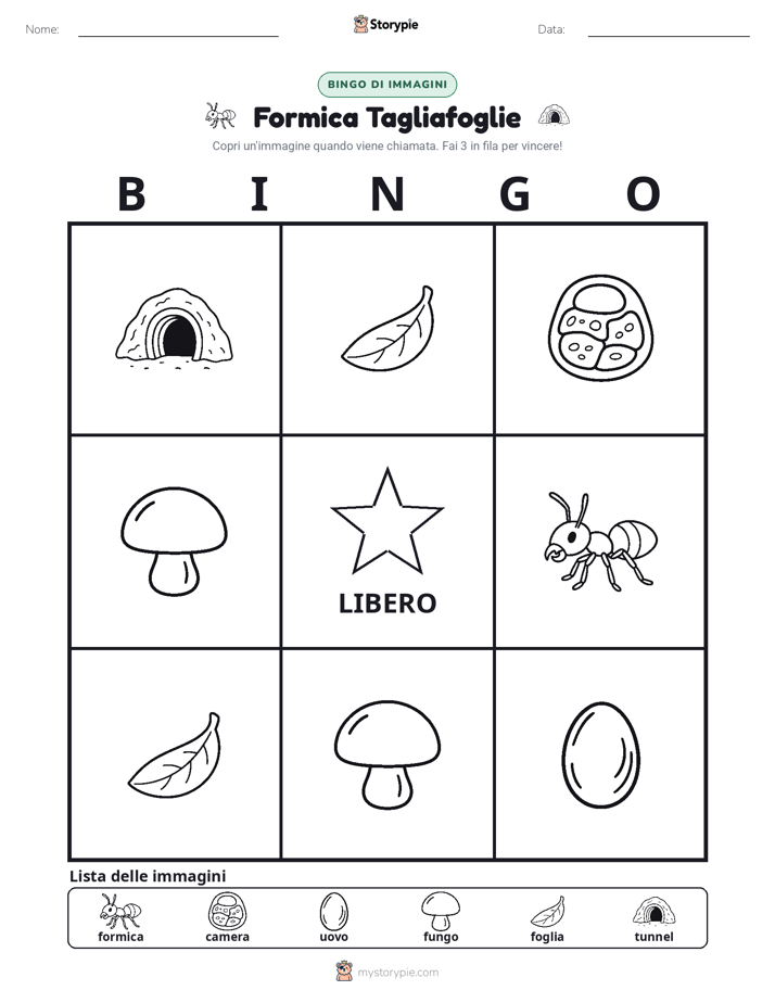 Bingo delle Immagini
