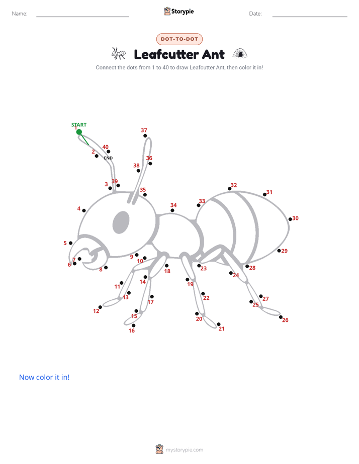 Dot to Dot