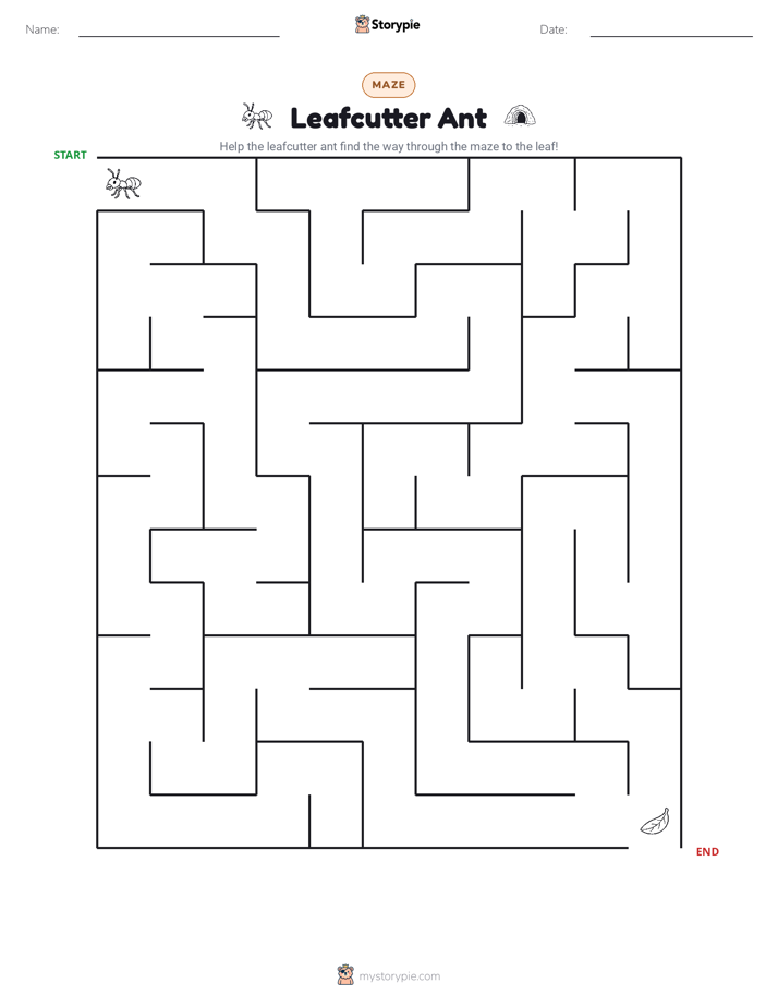 Maze