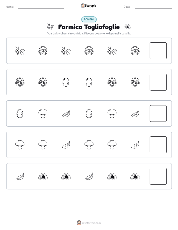 Pattern