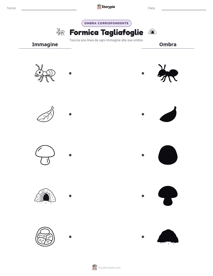 Corrispondenza Ombra