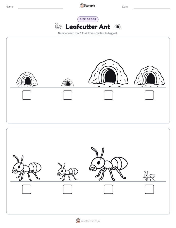 Size Order