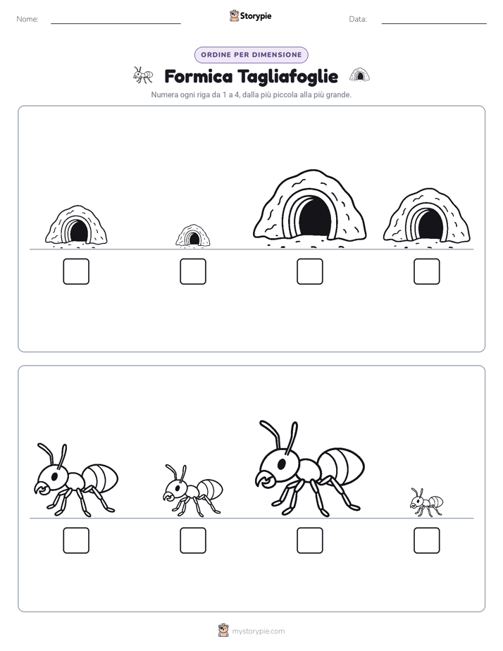 Ordine di Dimensione