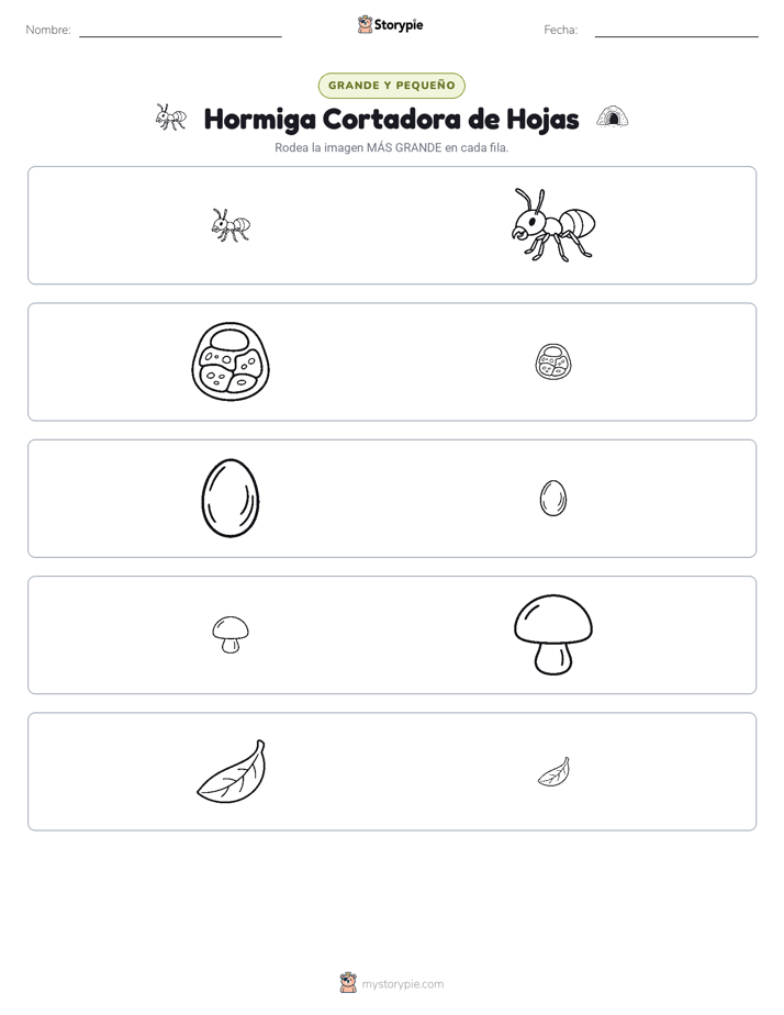 Clasificación