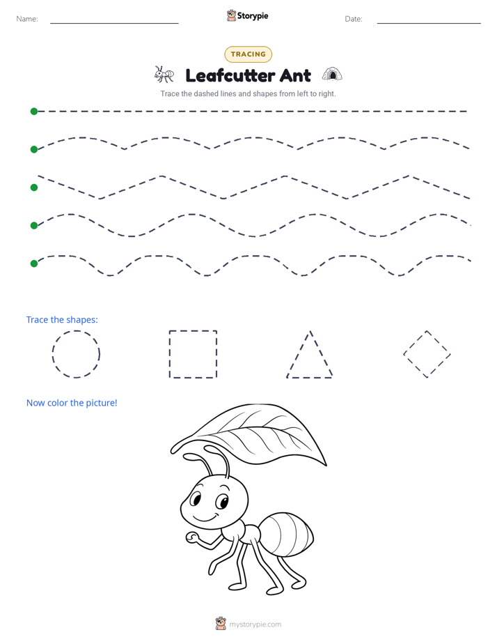 Tracing