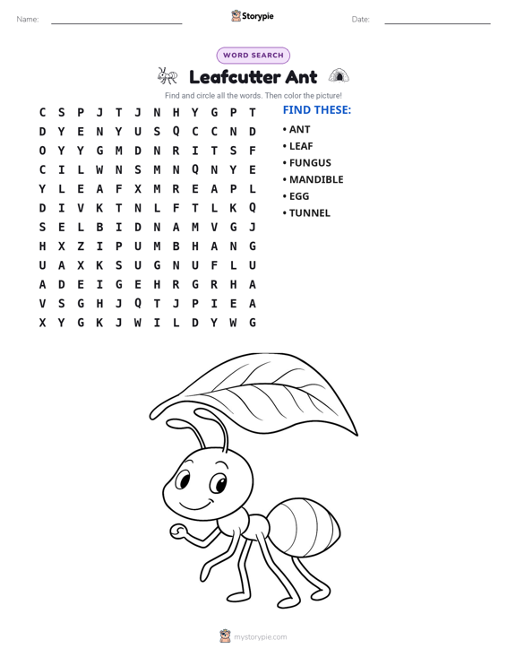 Word Search