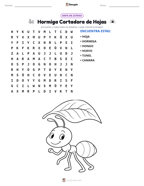 Sopa de Letras