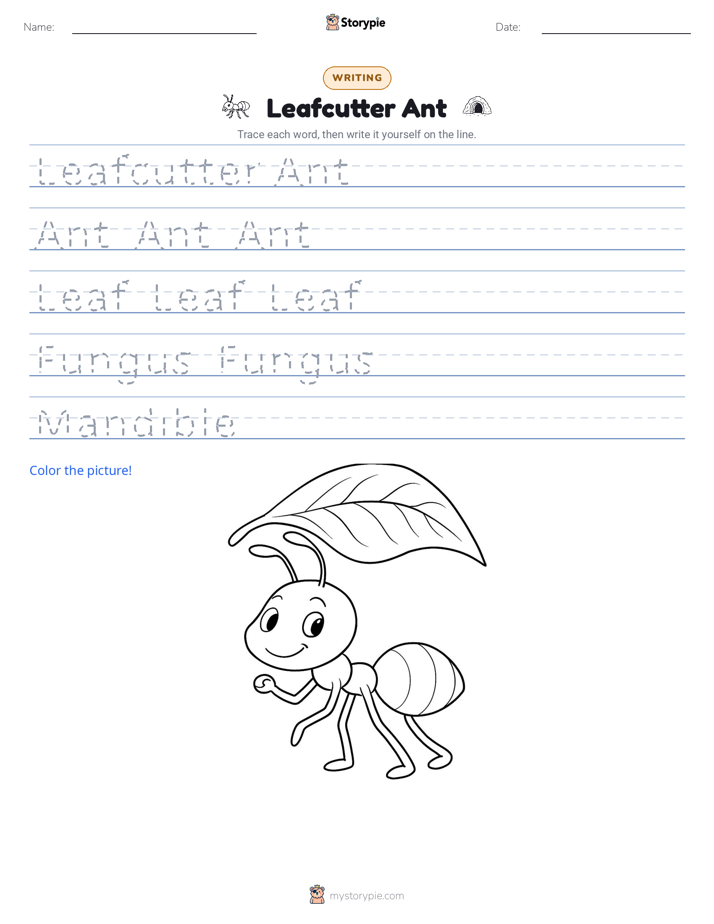 Writing Practice