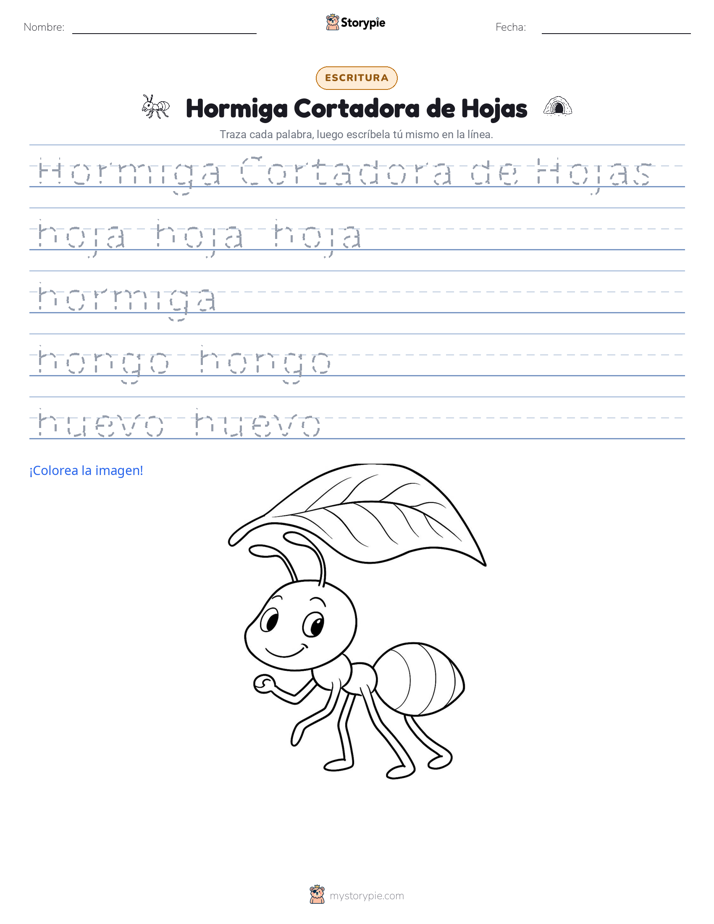 Práctica de Escritura