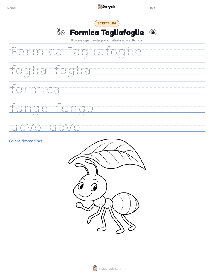 Pratica di Scrittura