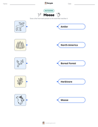 Moose printable worksheet for kids