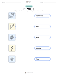 Hoja de trabajo imprimible de Alce para niños