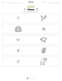 Moose printable worksheet preview