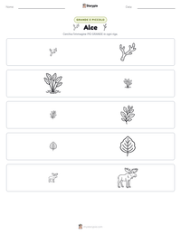 Anteprima della scheda stampabile di Alce