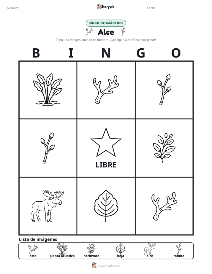 Bingo de Imágenes