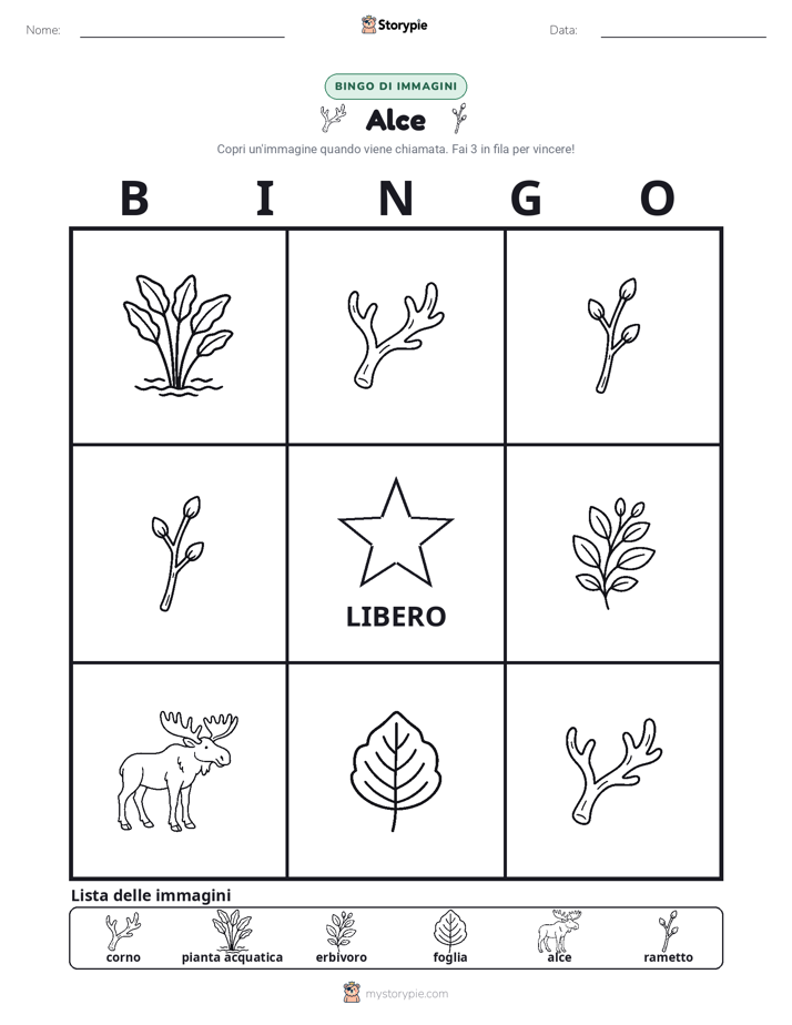 Bingo delle Immagini