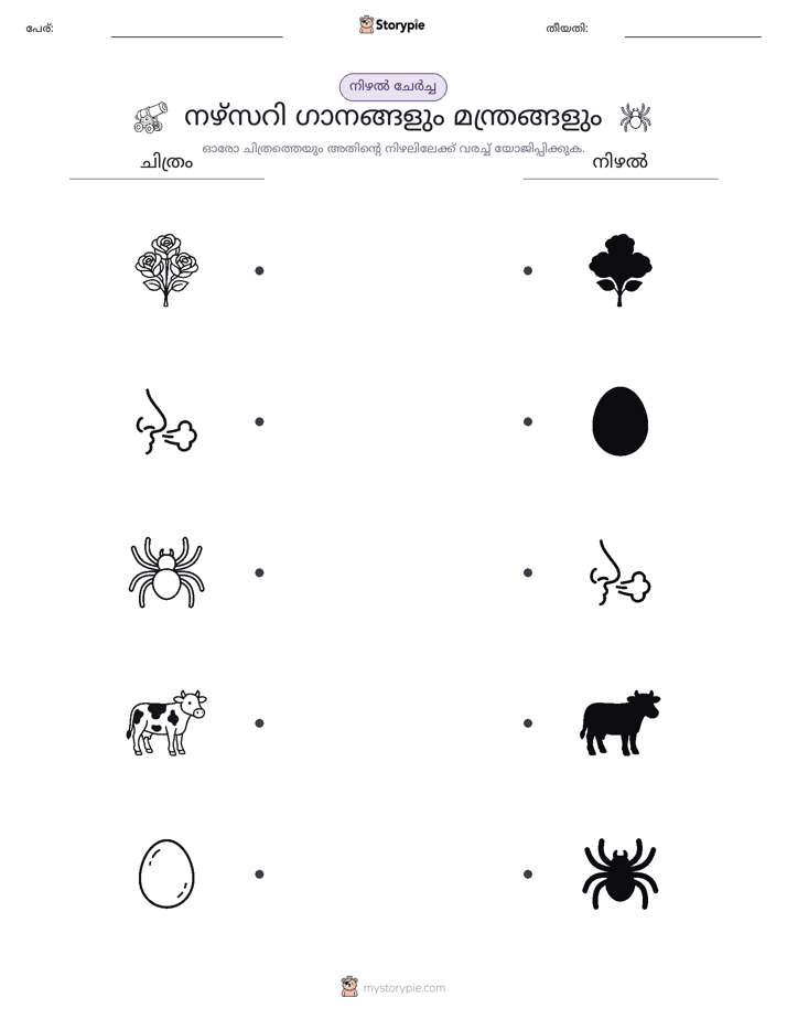 ഷാഡോ മാച്ച്