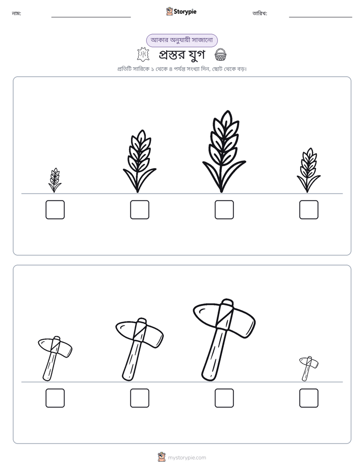 আকারের ক্রম