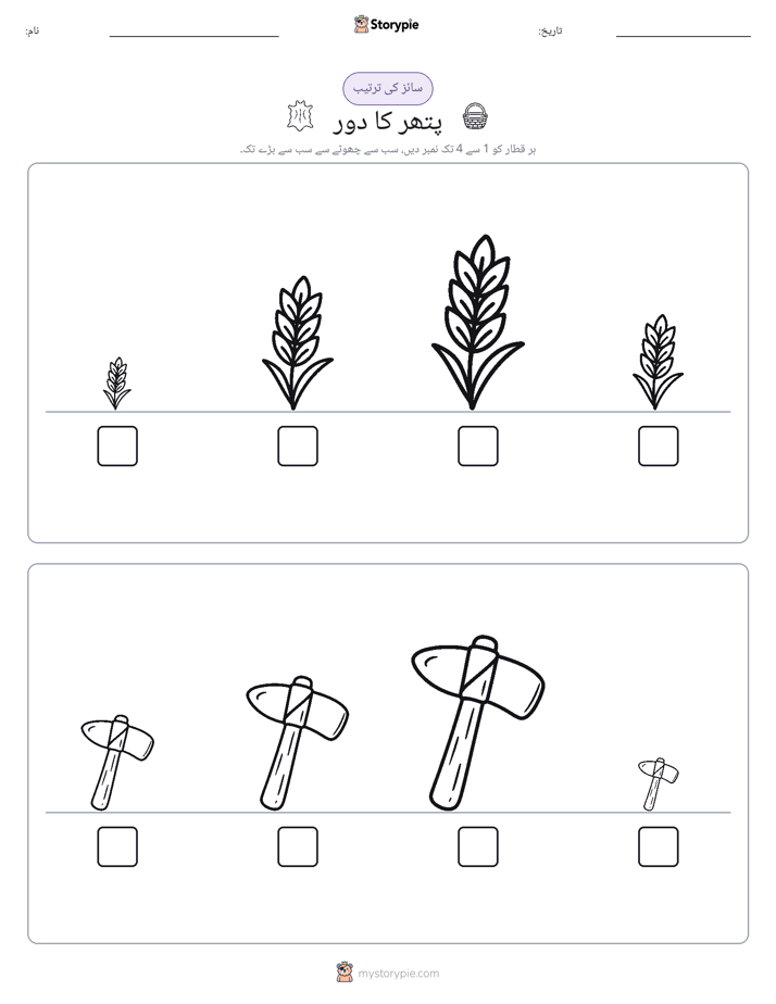 سائز کی ترتیب