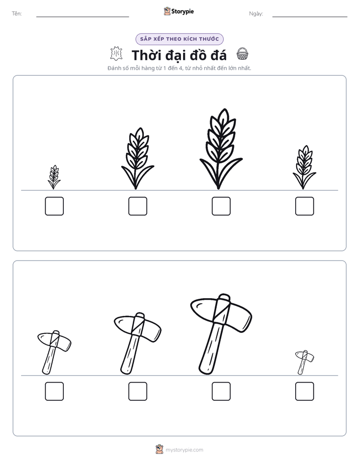 Thứ Tự Kích Thước