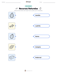 Vista previa de la hoja de trabajo imprimible de Recursos Naturales