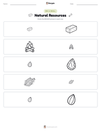 Natural Resources printable worksheet preview