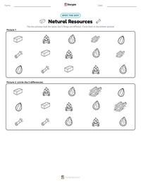 Natural Resources printable worksheet preview
