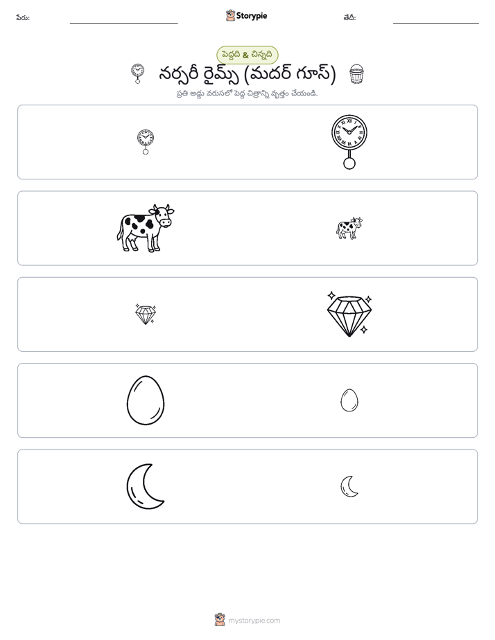 వర్గీకరణ