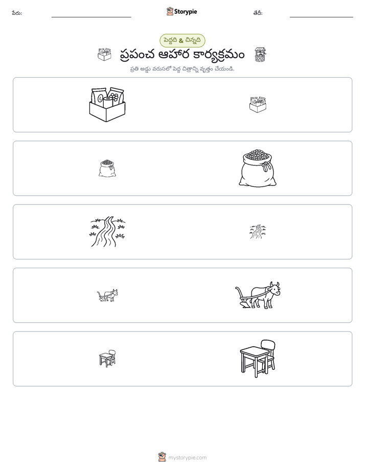 వర్గీకరణ