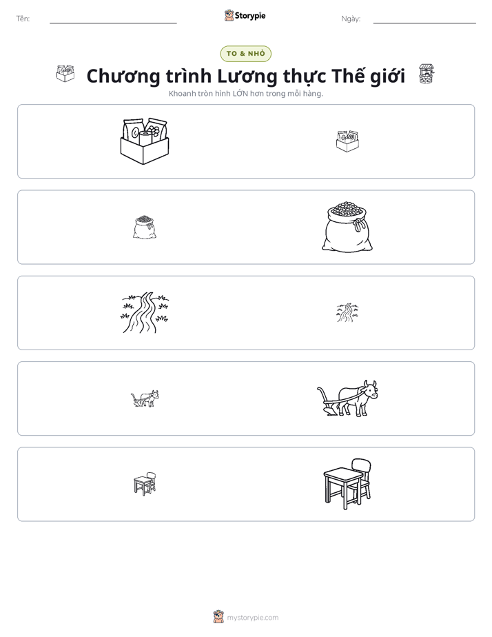 Phân Loại