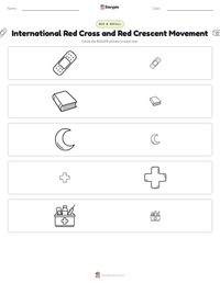 International Red Cross and Red Crescent Movement printable worksheet preview