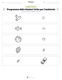 Anteprima della scheda stampabile di Programma delle Nazioni Unite per l'ambiente