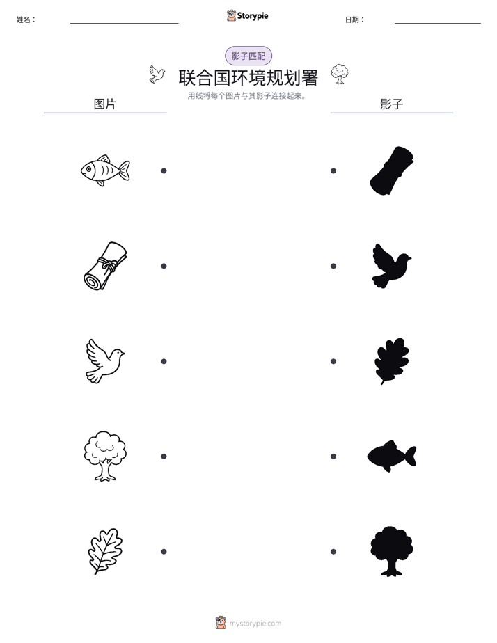 影子匹配