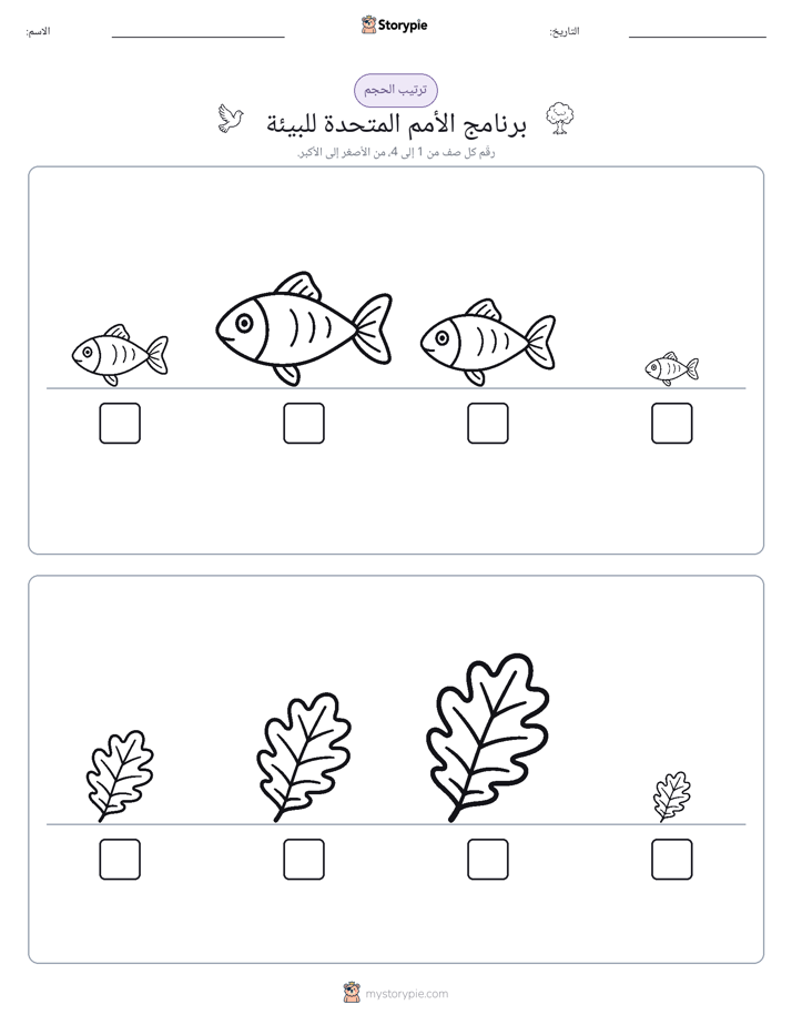 ترتيب الحجم