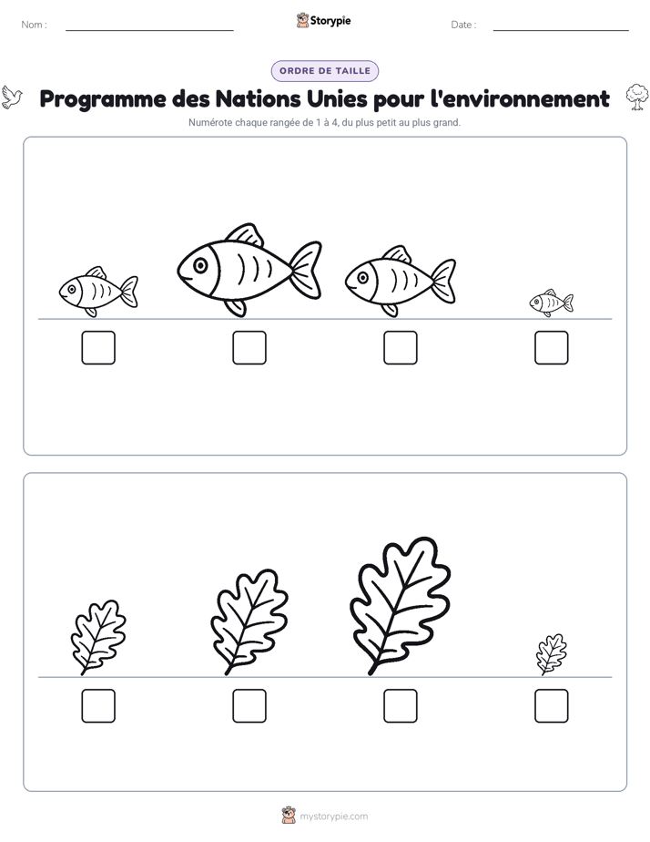 Ordre de Taille
