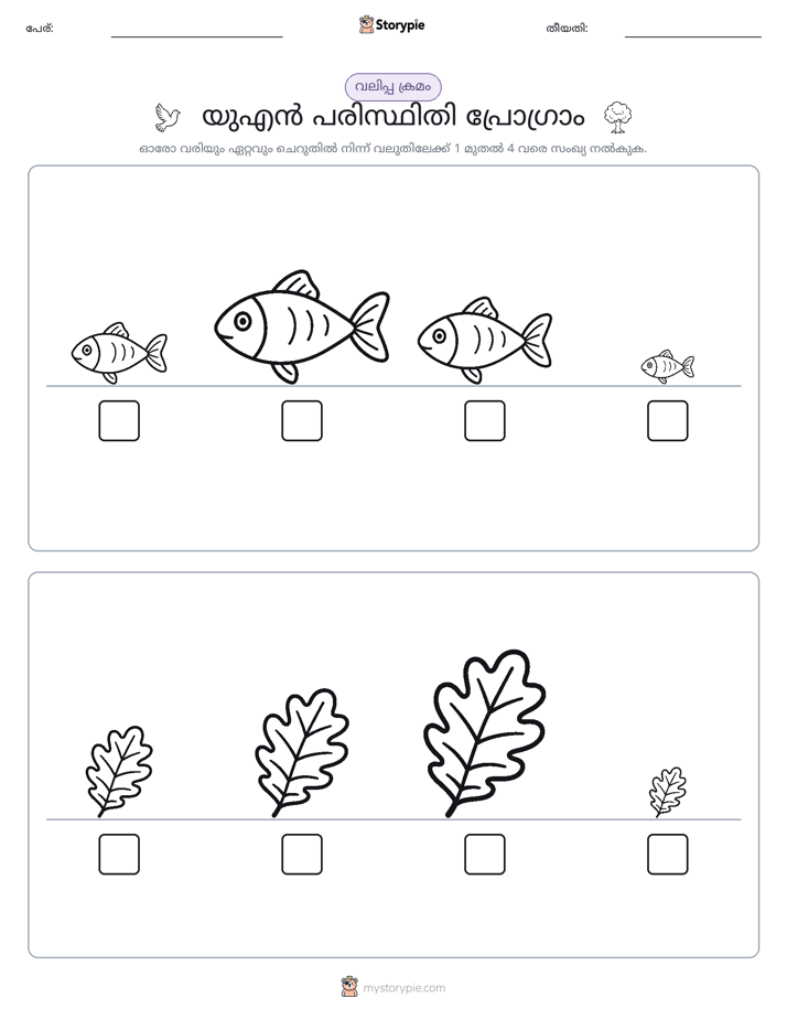 വലുപ്പം ക്രമം