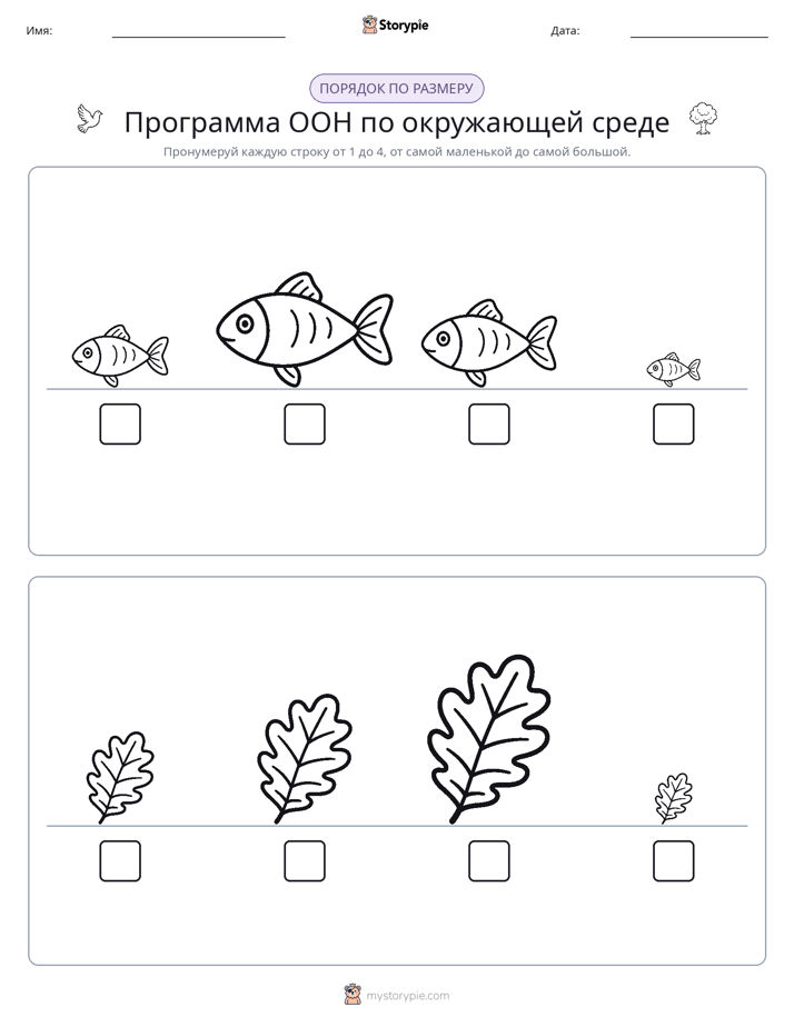 Размеры в порядке