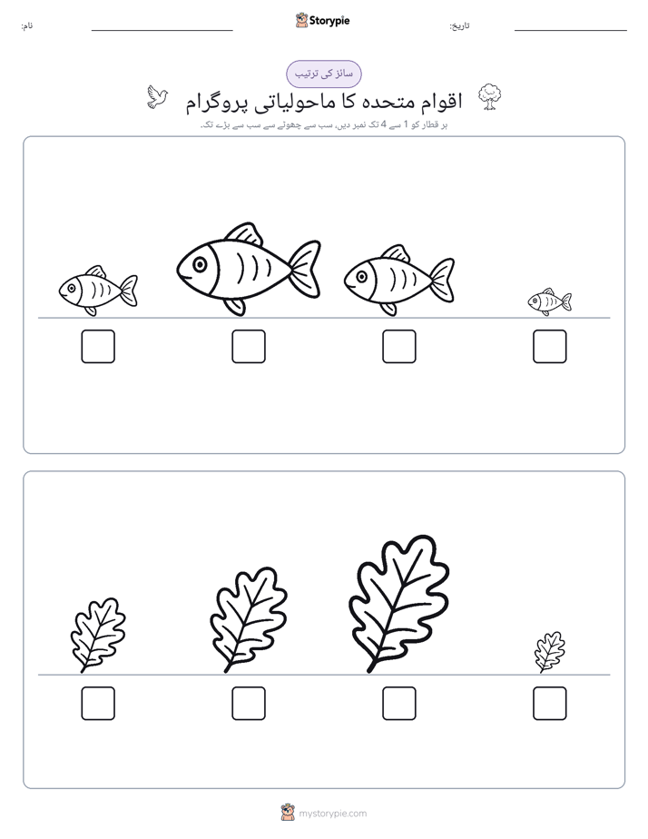 سائز کی ترتیب
