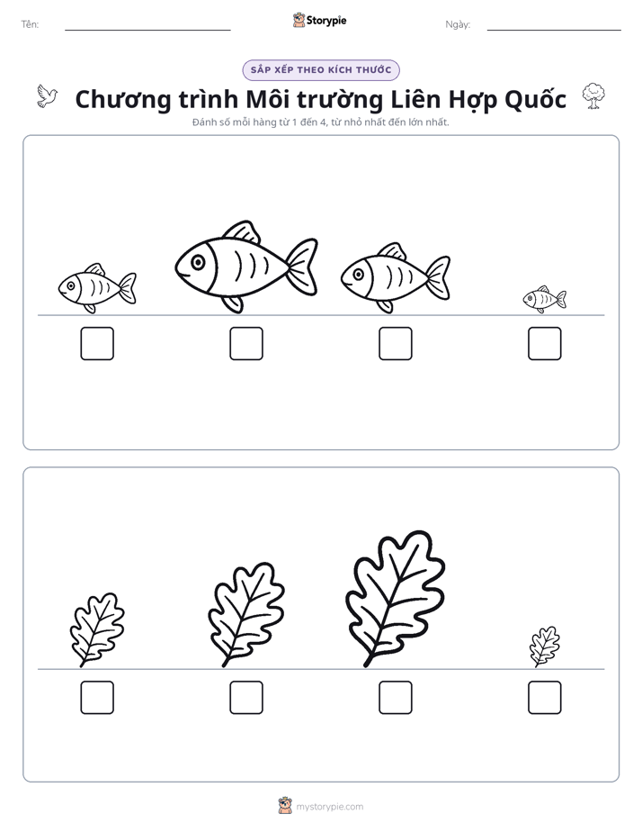 Thứ Tự Kích Thước