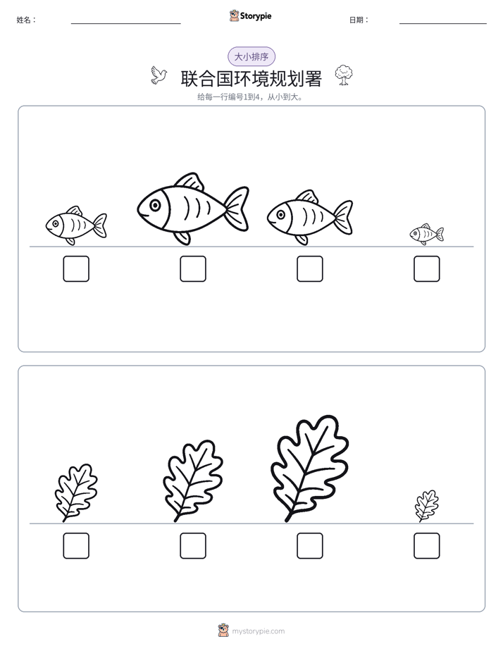 大小排序