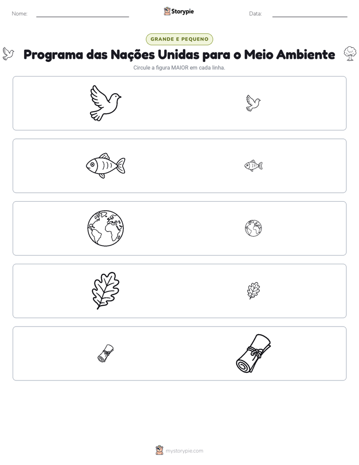 Classificação