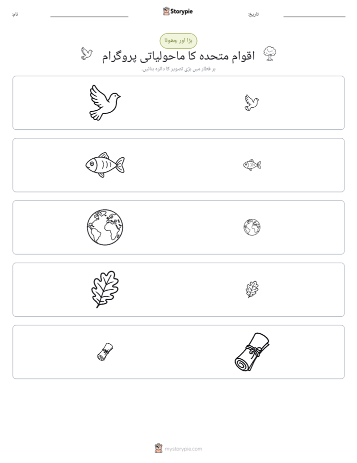 ترتیب دینا