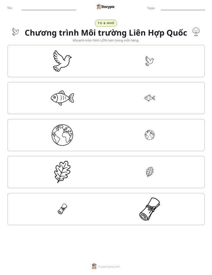 Phân Loại