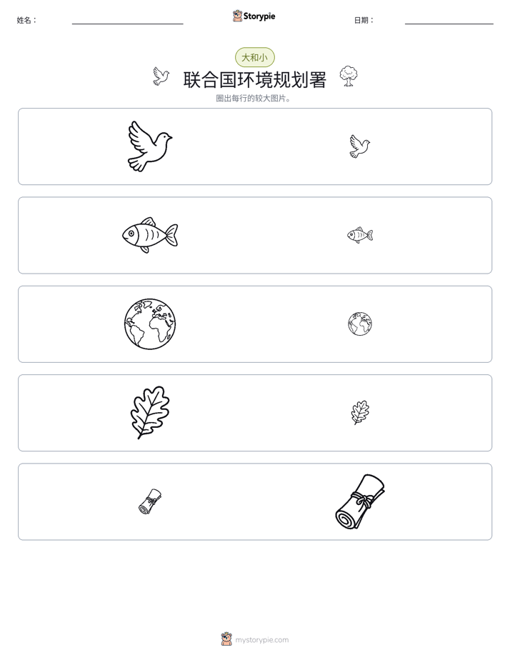 分类