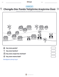 Chengdu Dev Panda Yetiştirme Araştırma Üssü yazdırılabilir çalışma sayfası önizlemesi