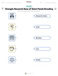 Chengdu Research Base of Giant Panda Breeding printable worksheet preview