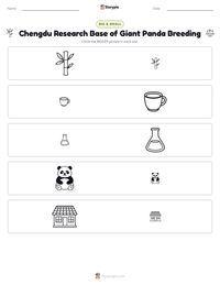 Chengdu Research Base of Giant Panda Breeding printable worksheet preview
